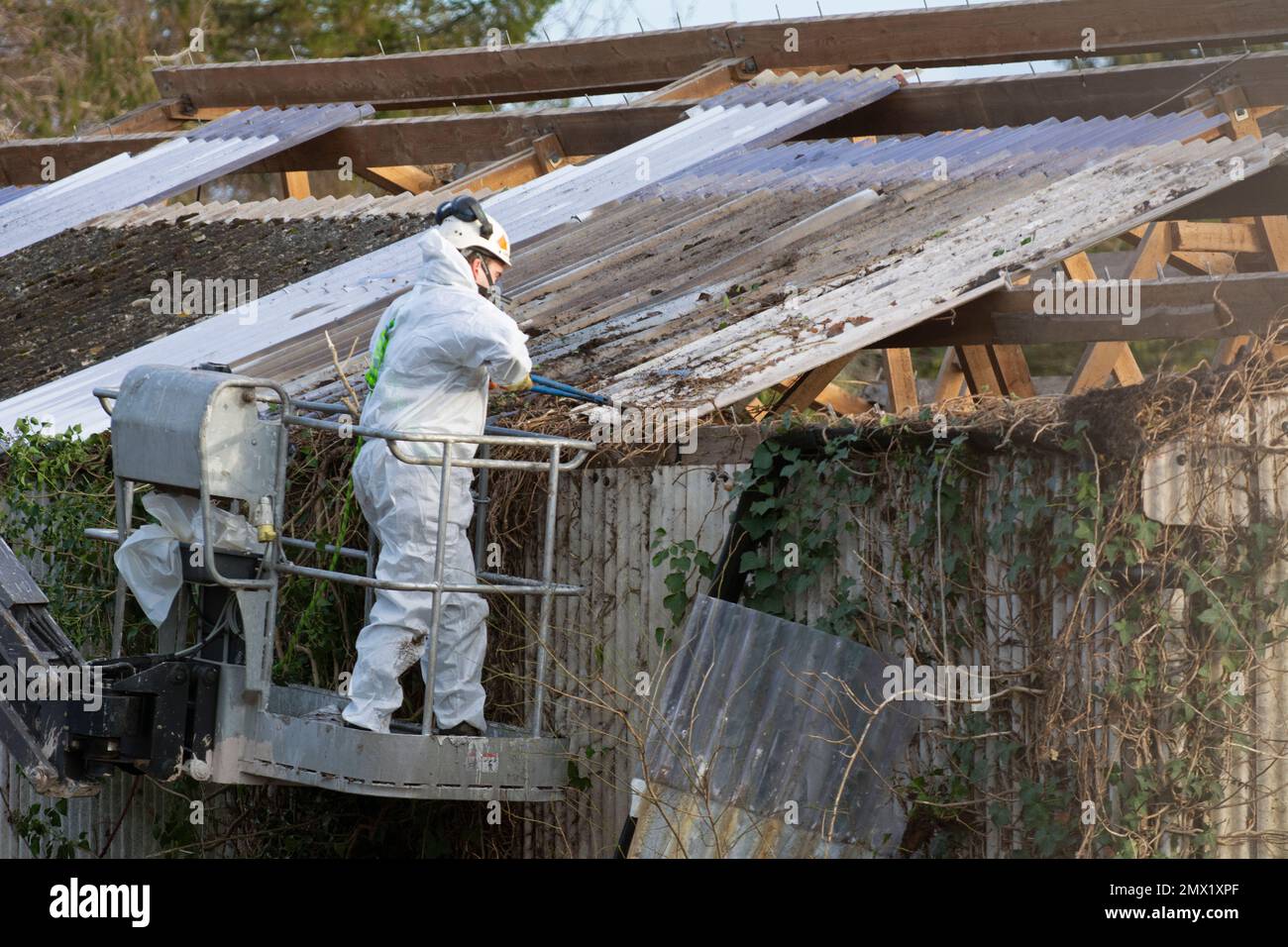 Safe asbestos disposal and packaging in Caterham - CR3